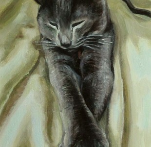 kot 50x30 cm