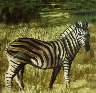 zebra