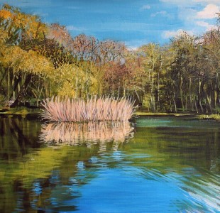 staw-50x40