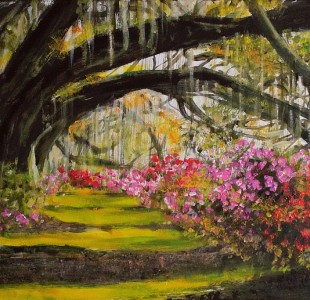 dęby 90x60